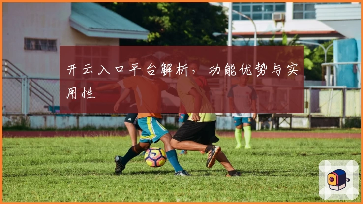 开云入口平台解析，功能优势与实用性