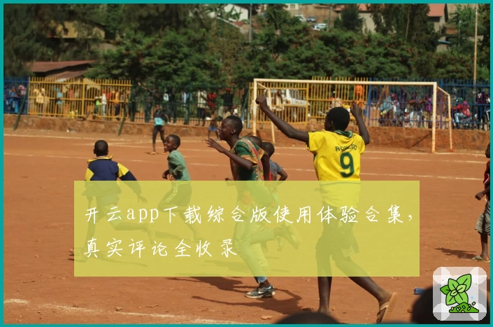 开云app下载综合版使用体验合集，真实评论全收录