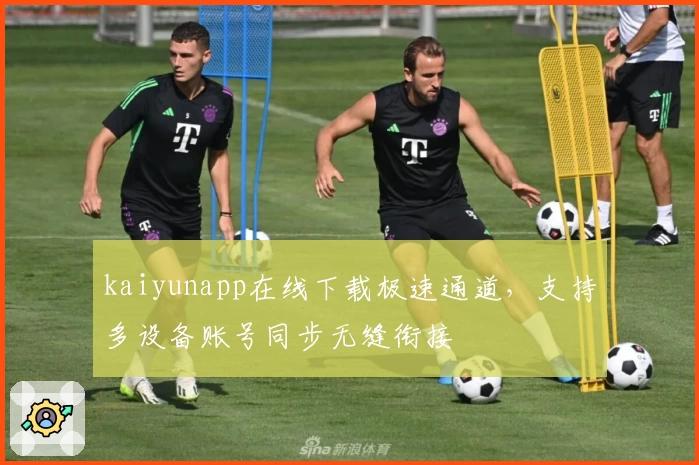 kaiyunapp在线下载极速通道，支持多设备账号同步无缝衔接